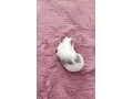 morca-small-2