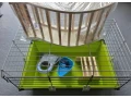 predam-klietky-a-potreby-pre-hlodavce-small-0