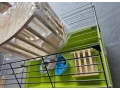 predam-klietky-a-potreby-pre-hlodavce-small-2
