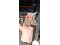 potkaniky-z-chs-small-1