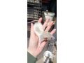 potkaniky-z-chs-small-2