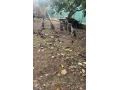 indicky-bezec-small-4