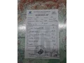 velky-svetly-strieborny-samec-small-4