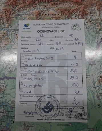 velky-svetly-strieborny-samec-big-4