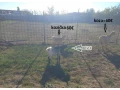 koza-small-4