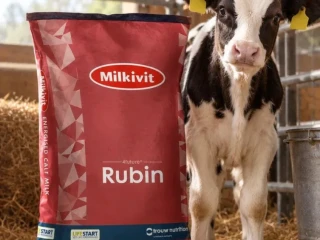 susene-mlieko-milkivit-rubin