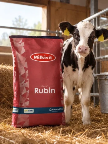 susene-mlieko-milkivit-rubin-big-0