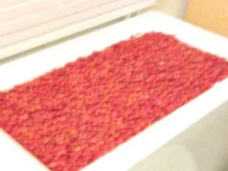 mrazene-sipky