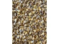 predam-susenu-krmnu-kukuricu-small-0