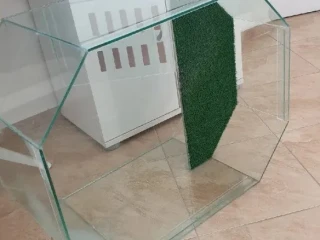 terarium