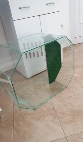 terarium-big-0