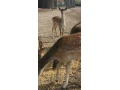 daniel-skvrnyty-small-1