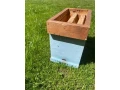 predam-vcelie-ule-oplodnaky-5eur-small-4