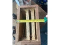 predam-vcelie-ule-oplodnaky-5eur-small-2