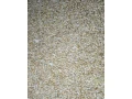 psenica-jacmen-small-0