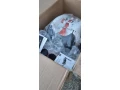 predam-vajicko-s-isofix-zakladnou-kiddy-i-size-plus-small-2