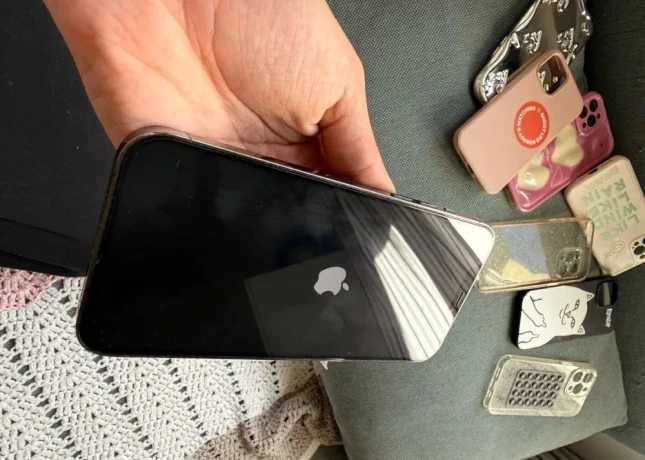 iphone-12-pro-max-256-gb-big-2