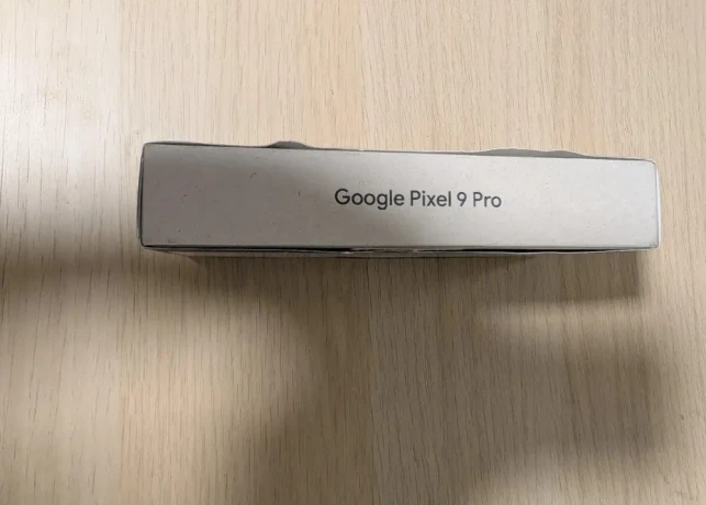 predam-google-pixel-9-pro-big-3