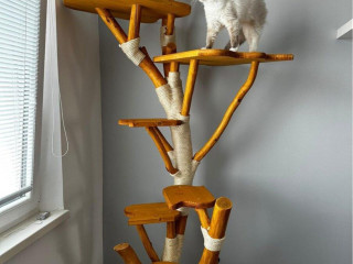 macaci-strom-skrabadlo-pre-macku