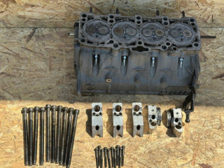 hlava-motora-19tdi-85kw-auy