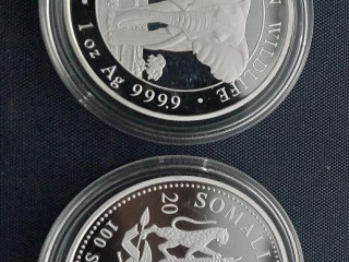 somalsko-elephant-1oz-2025-investicne-striebro