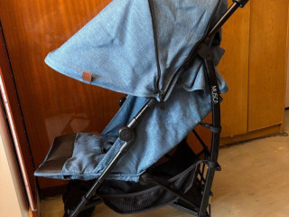 kocik-petitemars-musca