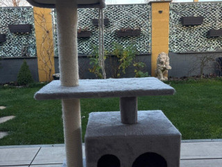 predam-macacie-skrabadlo