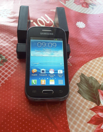 predam-samsung-galaxy-young-big-0