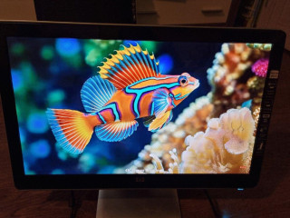 pc-monitor-215-palcovy