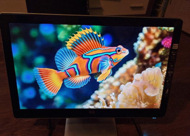 pc-monitor-215-palcovy-big-0