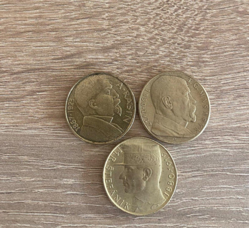 mince-11-kusov-big-0