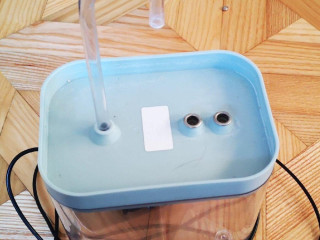 fontana-na-vodu-pre-macky-psov