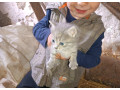 maciatka-small-0