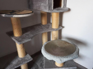 chalupka-xl-skrabadlo-macaci-strom