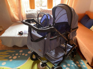 modrosivy-kocik-kiduku-plus-vajicko