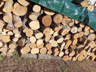 palivove-drevo-prebytok