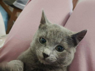 krasna-macicka-hlada-domov