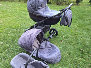 kociar-3v1-camarelo-sevilla-3v1