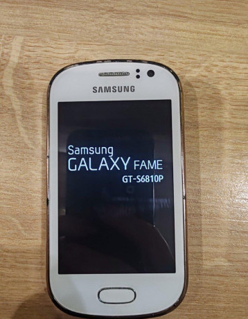 predam-samsung-s6810-galaxy-fame-big-0