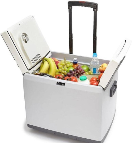 prenosny-chladiaci-box-45-l-big-0