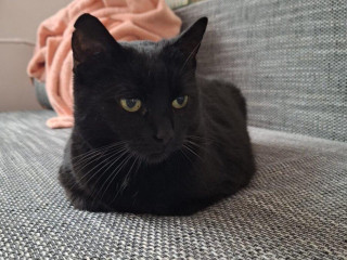 micke-hrozi-ze-skonci-na-ulici