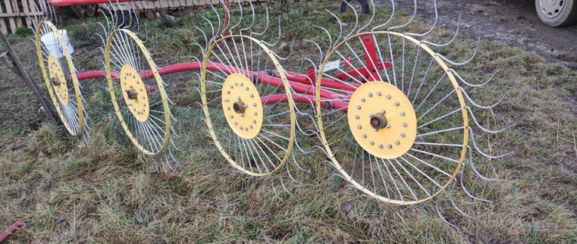 predam-hrabacku-big-0