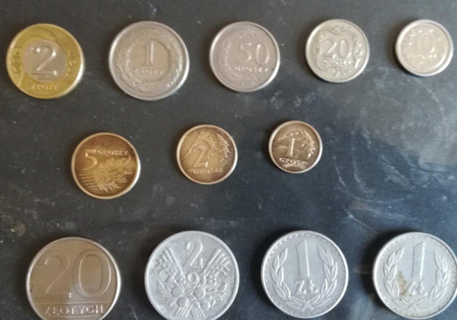 mince-polsko-big-0