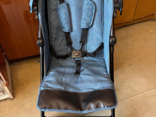 kocik-petitemars-musca