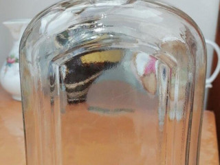 stara-flasa-2litrova