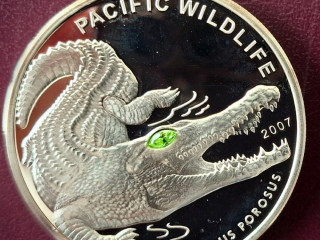 saltwater-crocodile-5-dolarova-minca