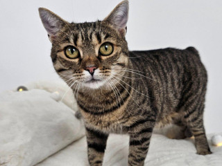 ocarujuca-macicka-zojka-hlada-domov