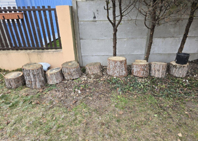 drevo-na-kurenie-big-0