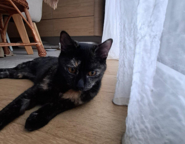 darujeme-macicku-big-0