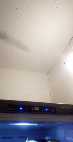 predam-chladnicku-big-0